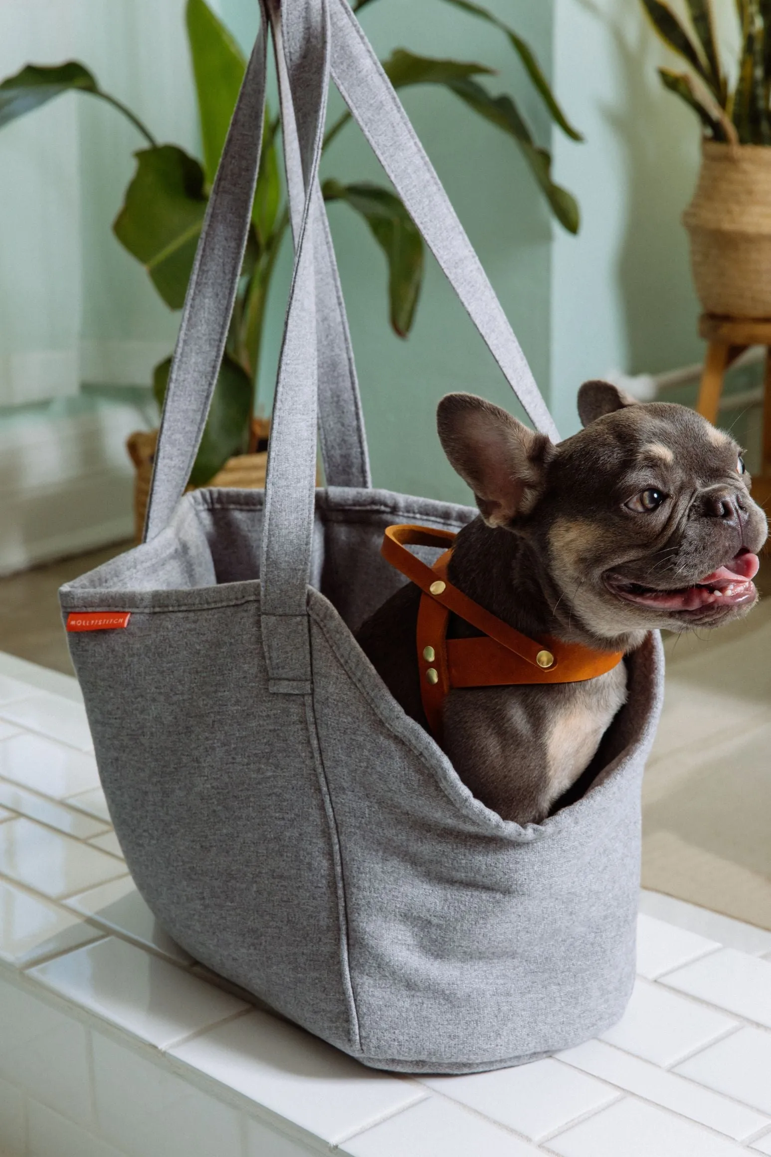 Alpine Dog Carrier - Grey