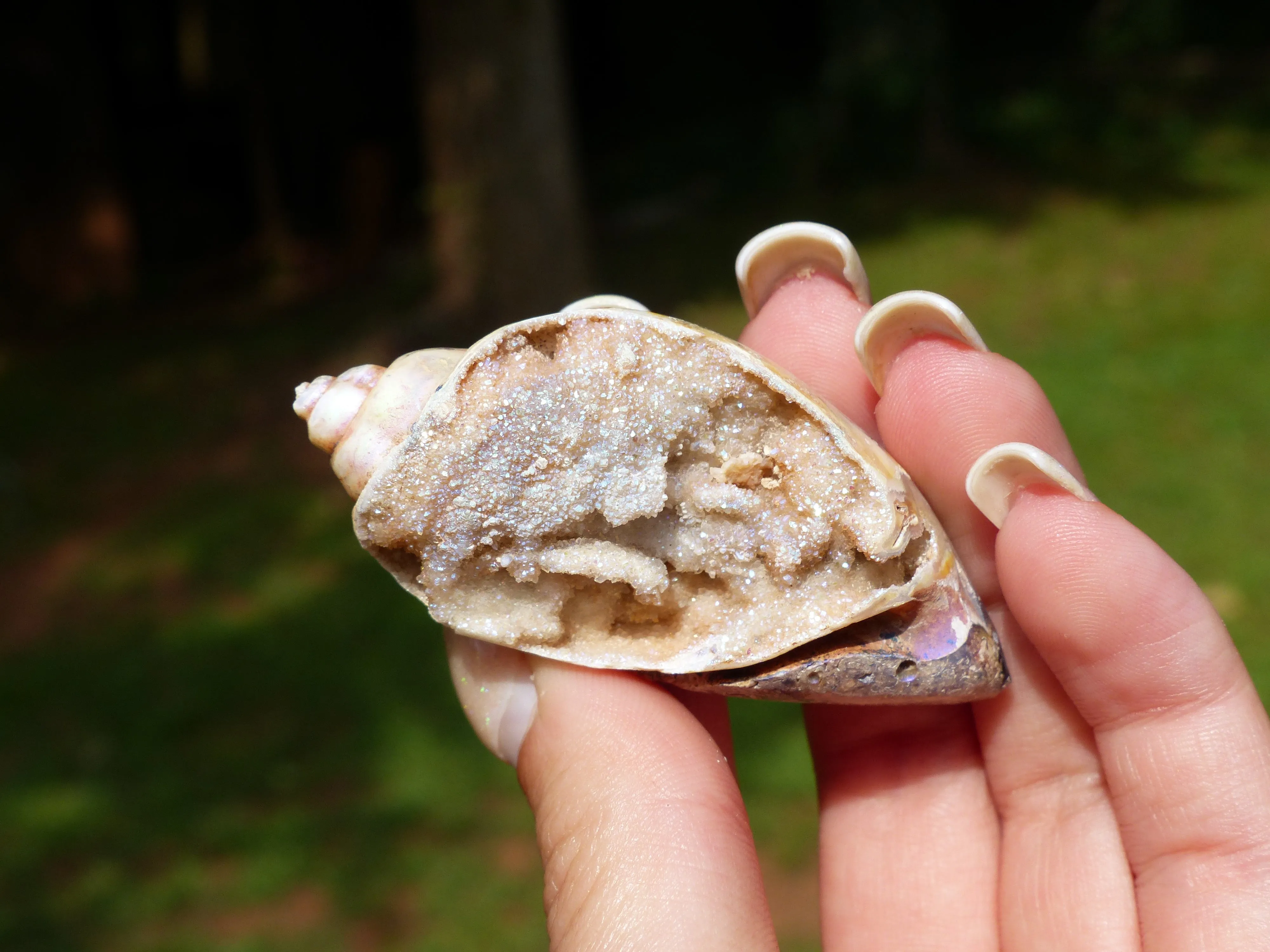 Aura Druzy Shell (#2)