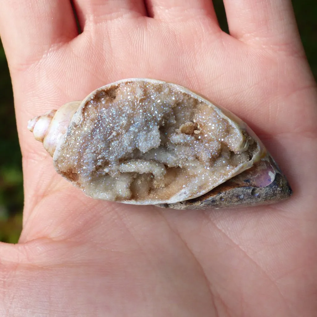 Aura Druzy Shell (#2)