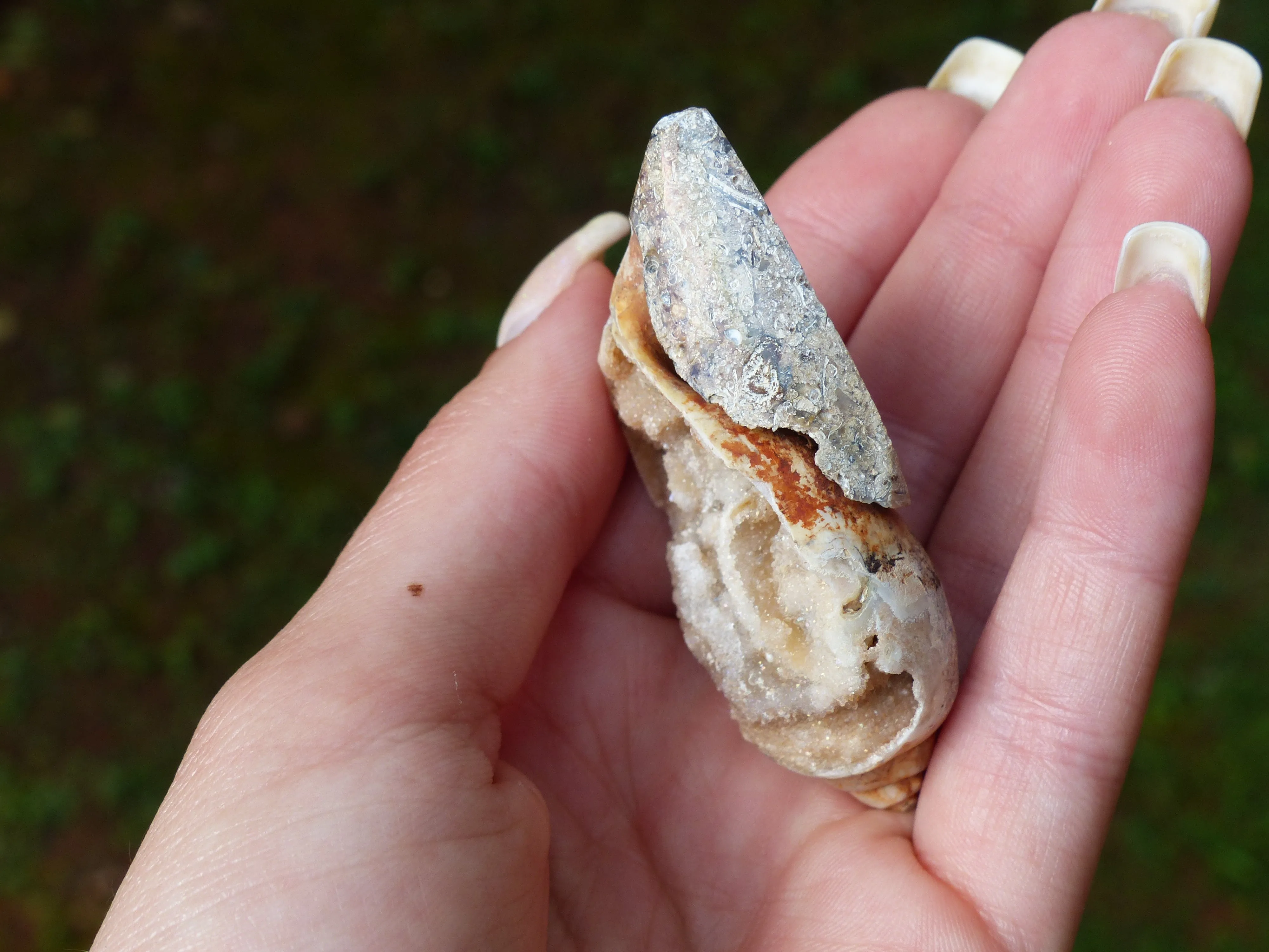 Aura Druzy Shell (#2)