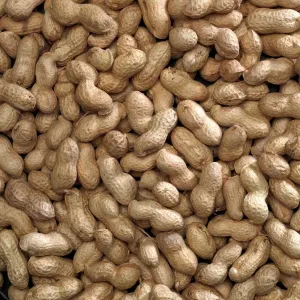 Bucktons Peanuts in Shell 2kg