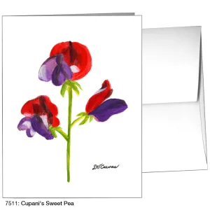 Cupani's Sweet Pea, Greeting Card (7511)