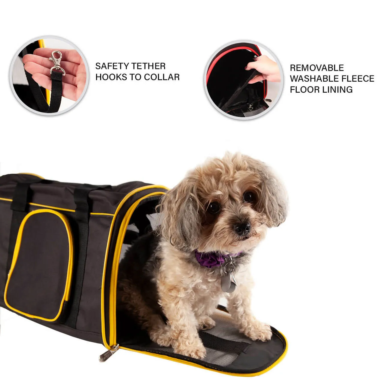 Gonzaga 16" Premium Pet Carrier