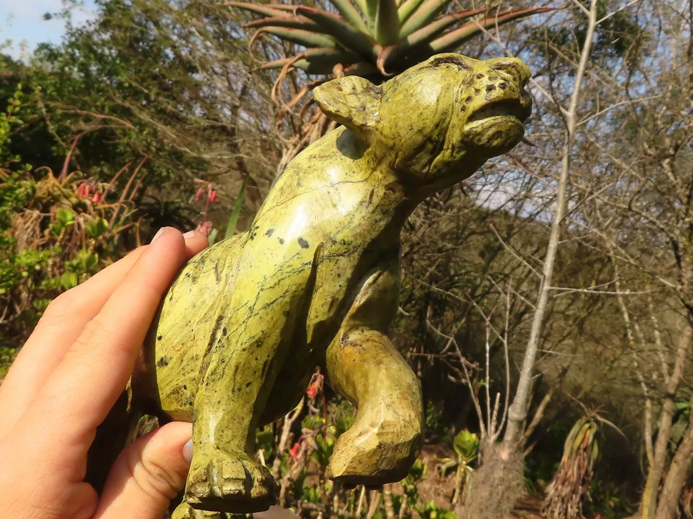 Polished  Leopard Stone Lioness Carving  x 1 From Zimbabwe