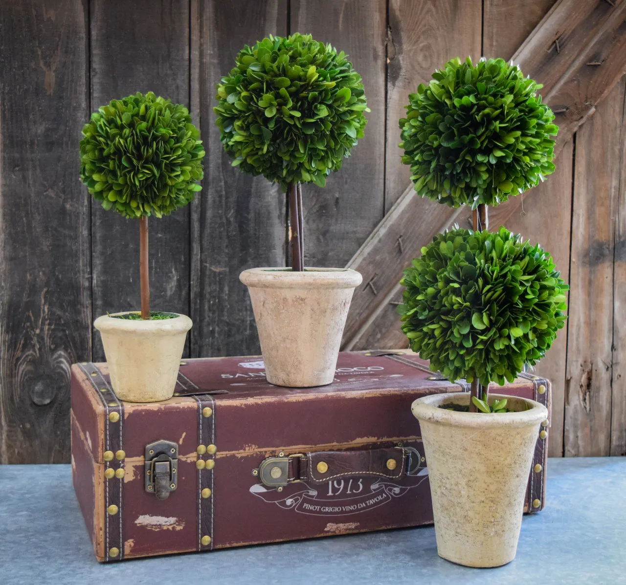 Preserved Boxwood Double Ball Topiary - 20 Inch