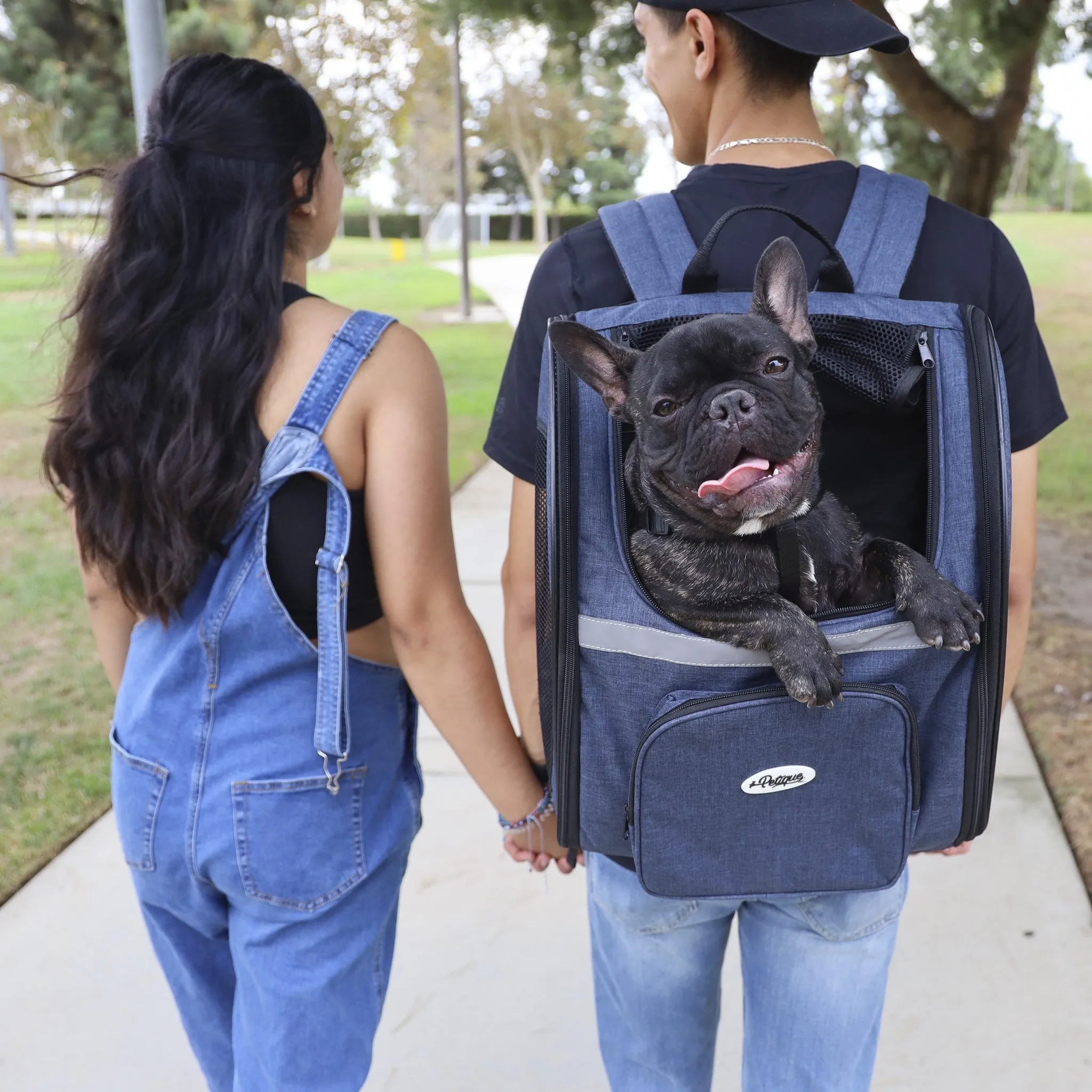 The Backpacker Pet Carrier - Orchid