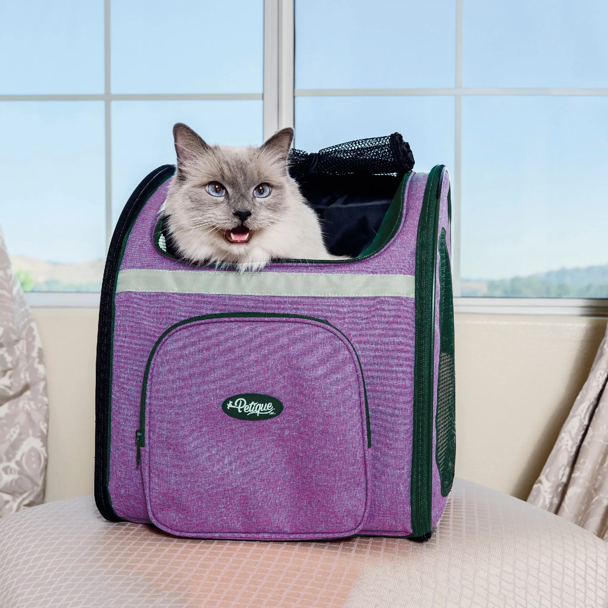 The Backpacker Pet Carrier - Orchid