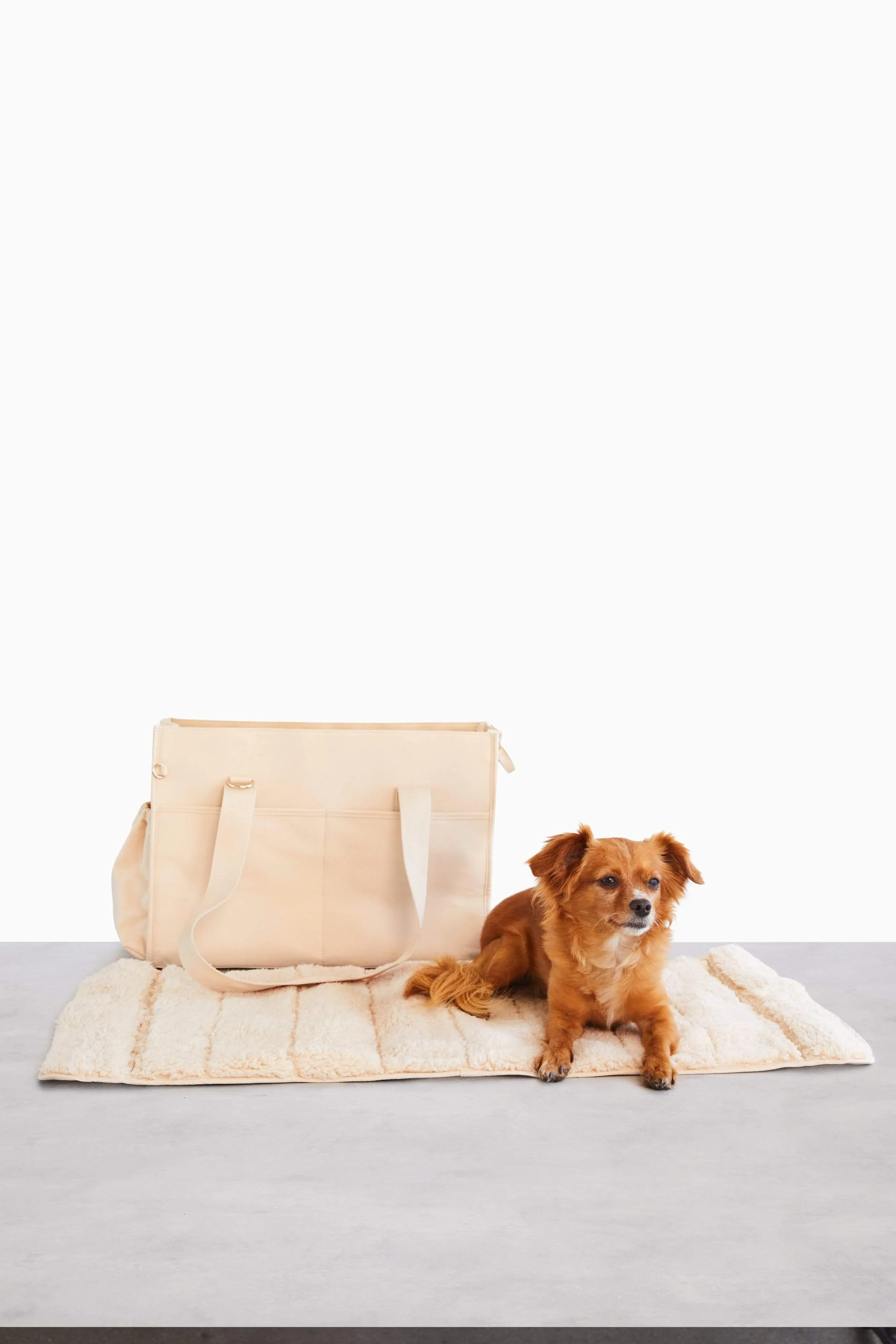 The Everyday Pet Tote in Beige