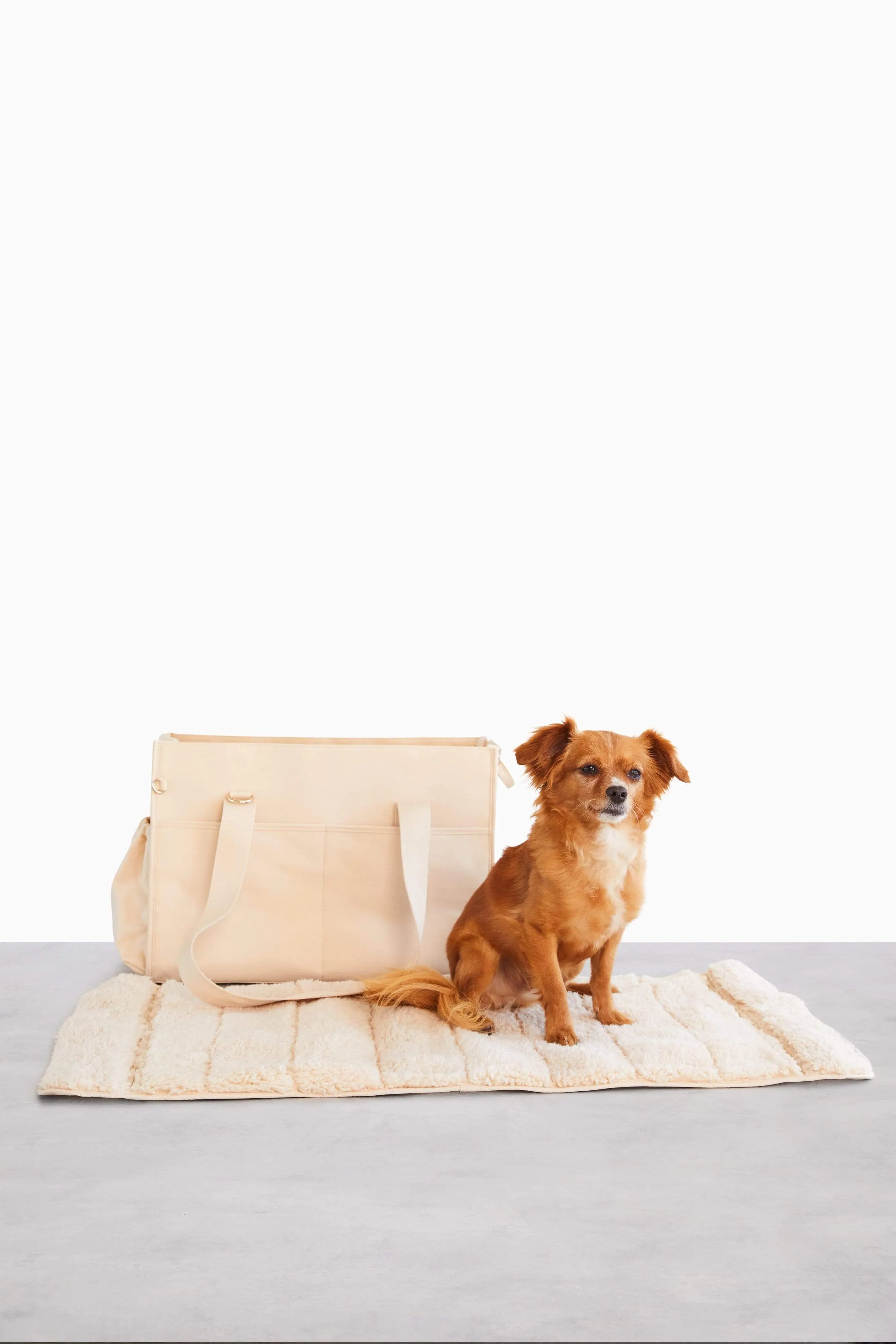 The Everyday Pet Tote in Beige